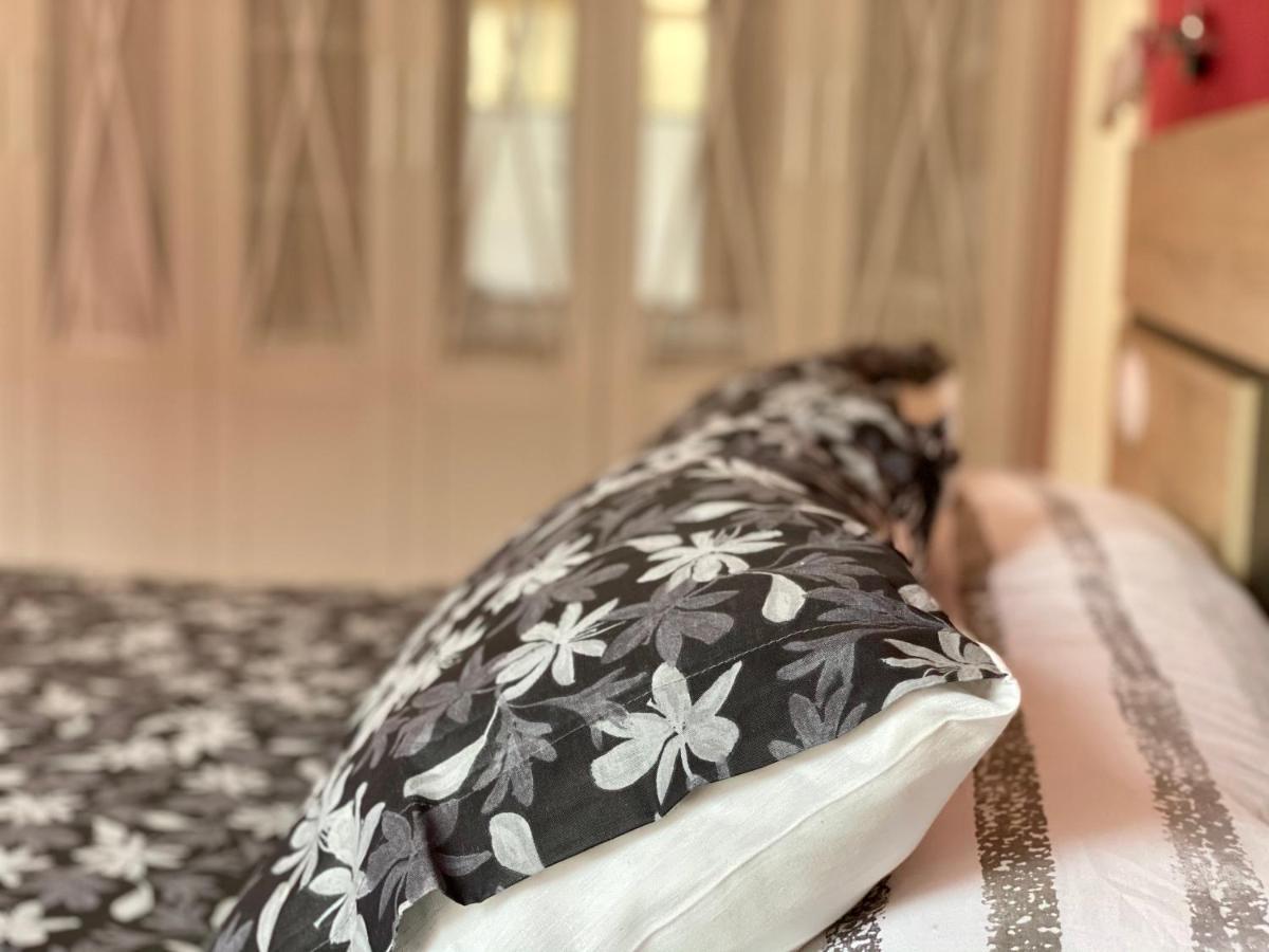 Housingleon- Barrio Humedo Apartment Екстериор снимка